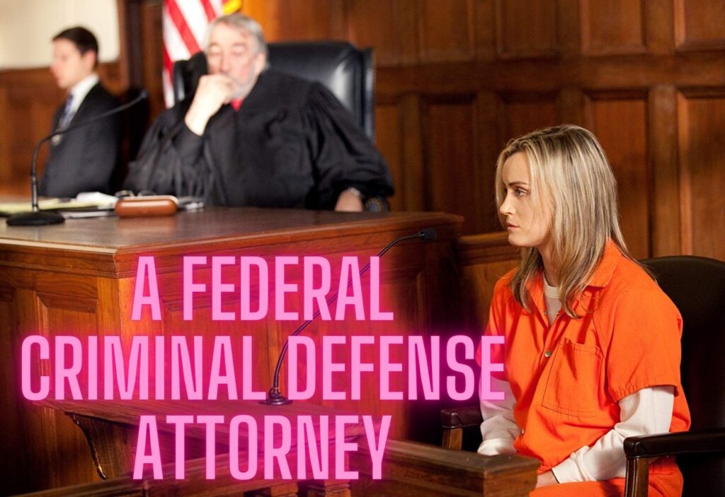 The Intricate Dance of Federal Criminal Defense: Navigating the Enigma