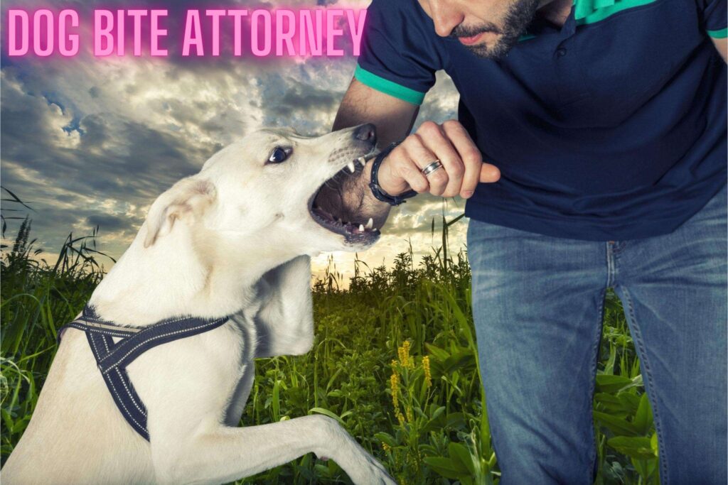 Dog Bite Attorney: Unleashing Legal Fury for Compensation