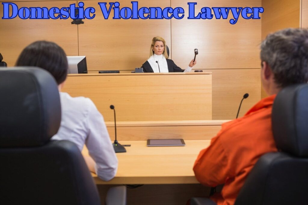 Professional Domestic Violence Dilemma: Advocacy Amidst Adversity lawyer