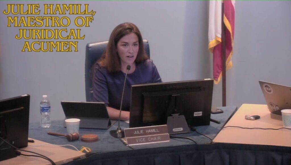 Deciphering the Legal Enigma: Julie Hamill, Maestro of Juridical Acumen
