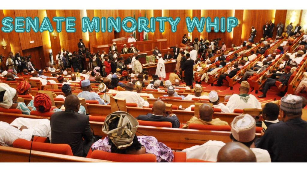 Unraveling the Political Tapestry: The Enigmatic Realm of the Senate Minority Whip
