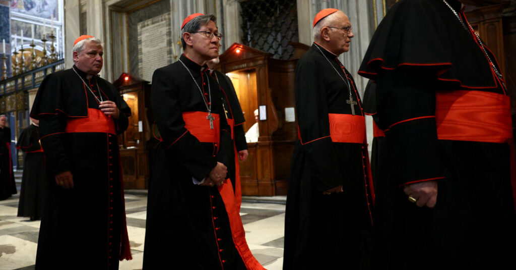 A Contender for the Papacy in the Mold of Francis