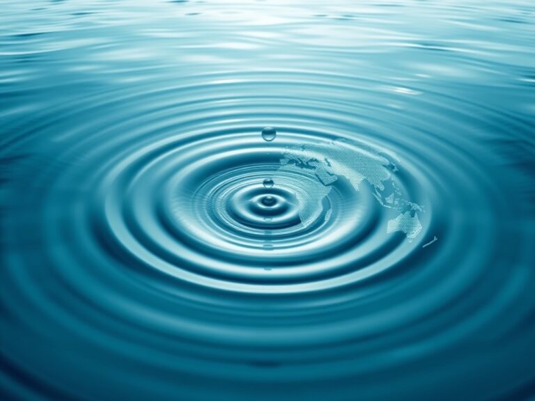 img-the-world-of-advocacy-exploring-global-impact-and-action